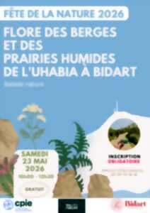 Fête de la nature - Flores des berges et des prairies humides de l'Uhabia à Bidart