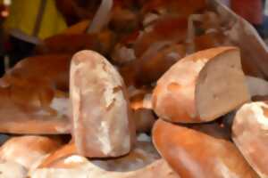 Fermes en fête : Grains d'Ô Vin allume le fourniol