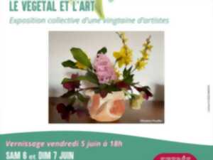 Exposition Le végétal et l'art