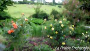 Jardins ouverts pour le cerveau