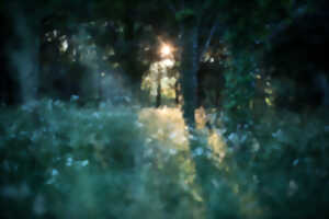 photo Visite nocturne 