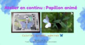 photo Atelier en continu : papillon animé
