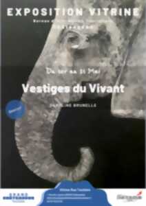photo Exposition - Vestiges du Vivant