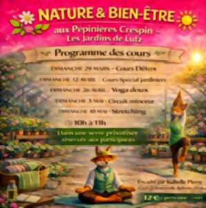 Nature & Bien-Être : Stretching