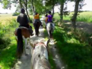photo Balade à poney