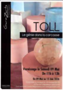 photo Exposition TOLL 