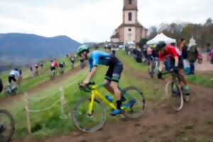 Cyclocross du Wurzel