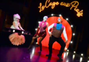 photo Spectacle-cabaret : Whisky Bar