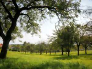 Les Rendez-vous Nature - Le Chemin des Fruitiers