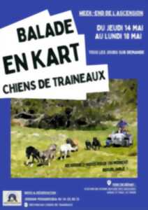 BALADE EN KART CHIEN DE TRAINEAUX