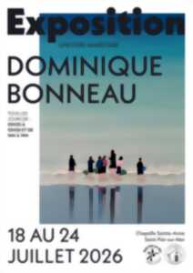 photo Exposition de Dominique Bonneau