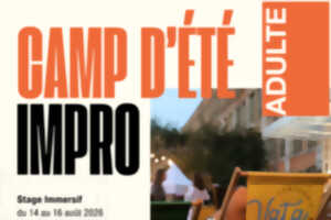 photo Camp d'été impro adulte