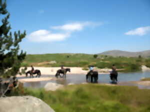 TROIS JOURS A CHEVAL SUR LE MONT LOZERE