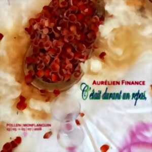 Exposition d'Aurélien Finance, C'était Durant un Repas