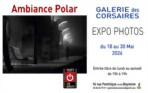 photo Ambiance polar