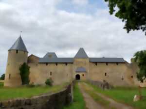 Visites immersives : 