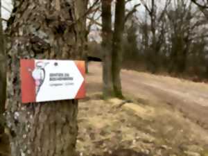 photo Sortie nature sur le sentier du Bischenberg