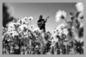 photo Concert | Alix Denavit