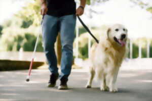 photo Sensibilisation déficience visuelle et chiens guides