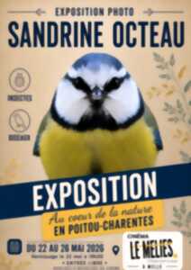 Exposition photo Sandrine Octeau