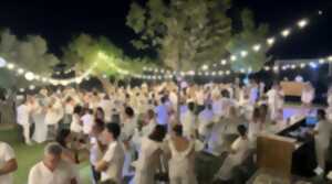 photo White Summer Party