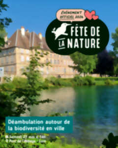 La Fête de la Nature ! - Déambulation autour de la biodiversité en ville