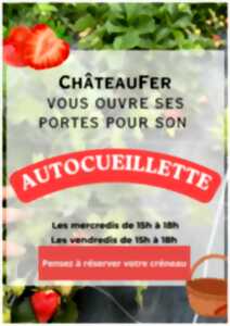 Autocueillette
