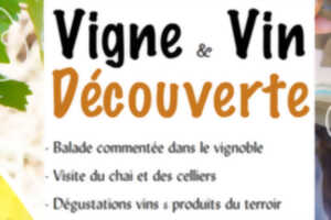 Vigne & vin découverte | Domaine du Siorac