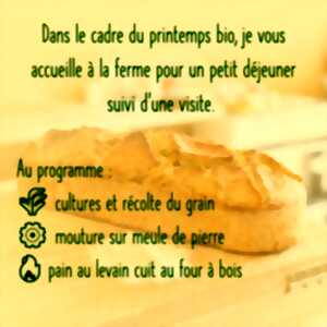 photo Petit déjeuner, dégustation et visite de ferme d'un paysan boulanger