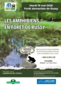 Les amphibiens en Forêt de Russy