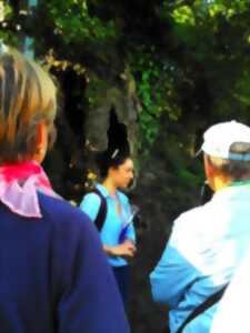 photo Le remembrement : histoire du bocage