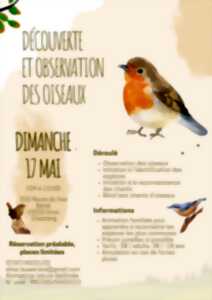 Découverte et observation des oiseaux