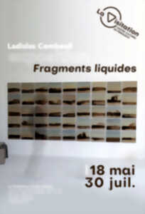 photo Exposition : Fragments liquides - Ladislas Combeuil