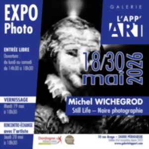 photo Exposition: Still Life, noire photographie -  Michel Wichegrod