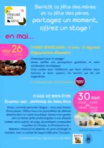 photo Stages au Prieuré des Arts au mois de mai à Saint-Rémy