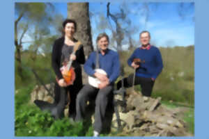 photo Concert | Red Mountain Wine