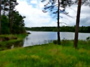 Été Actif - Animation nature au grand étang de la Jemaye -  Jeu de piste nature