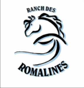 Concours d'attelage