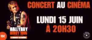 photo Johnny Hallyday, Lorada Tour - Bercy 1995