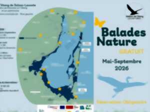 BALADE NATURE : LES OISEAUX DU BÂTI