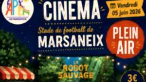 photo Cinéma en plein air