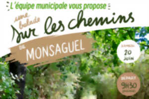 photo Balade sur les chemins de Monsaguel
