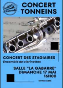 Concert ensemble de clarinettes
