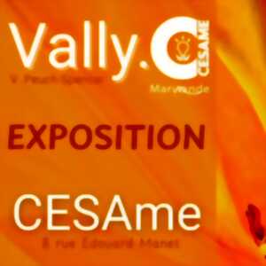 photo Exposition Vally à CESAme