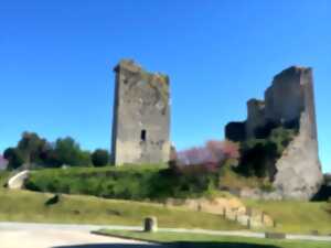 photo Conférence autour du château de Montgaillard