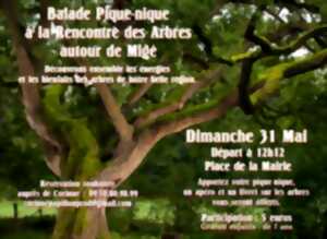 Balade Pique-nique à la rencontre des Arbres à Migé