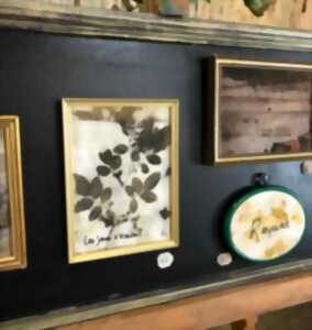 Théotine Atelier et ses teintures végétales