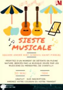 Sieste musicale à Vineuil-Saint-Firmin