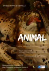 Cycle autour des animaux au musée Jeanne d'Aboville