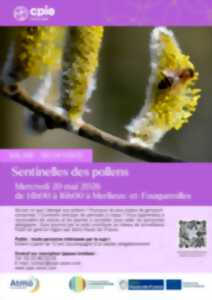BALADE- Sentinelle des Pollens